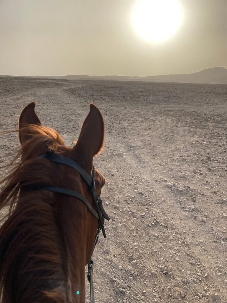 Horse Ride In Luxor West Bank
