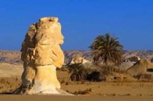 Farafra Oasis in Egypt