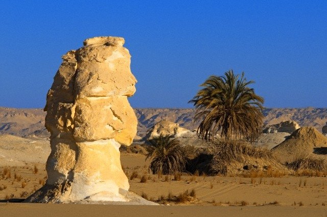 Explore the beauty of Farafra Oasis