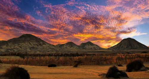 Black Desert Egypt