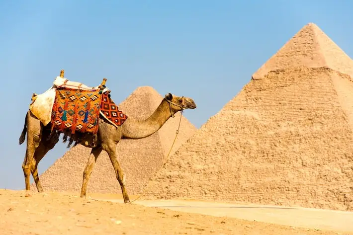 Unveiling Timeless Wonders with Egypt Classic Tours