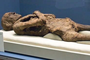 Museum of Mummification