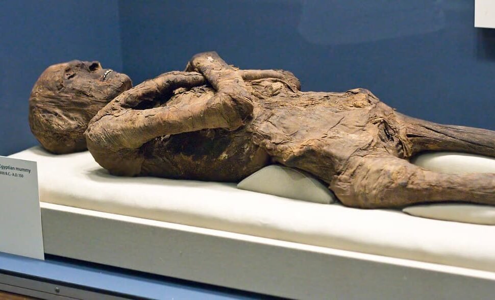 Museum of Mummification