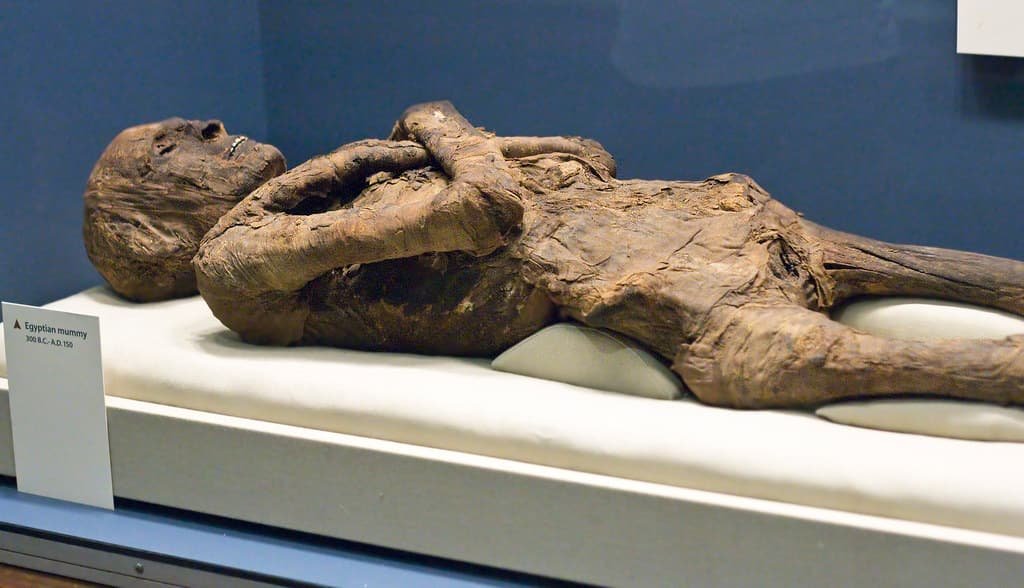 Museum of Mummification