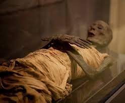 Museum of Mummification