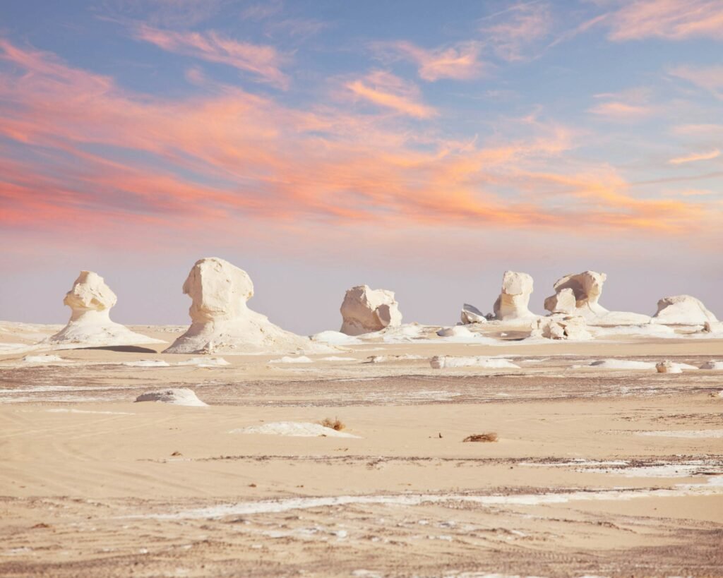 shutterstockRF89650903